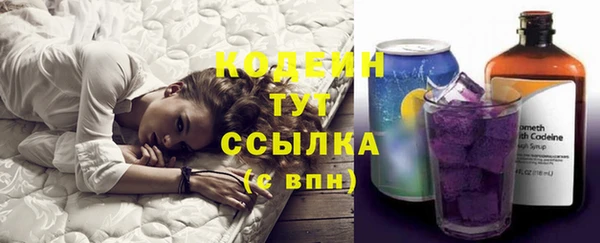 молекула духа Кулебаки