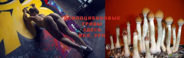 ALPHA-PVP Краснотурьинск