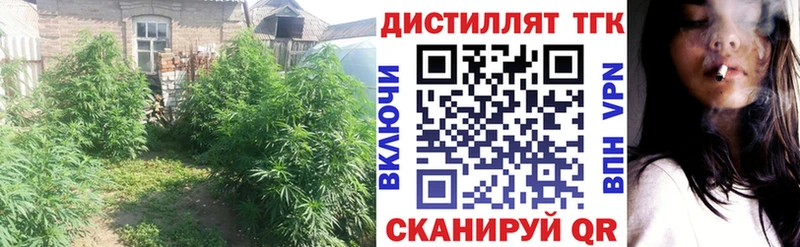 Купить где  Амурск  ТГК гашишное масло 