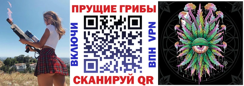 Купить  Амурск  Псилоцибиновые грибы GOLDEN TEACHER 